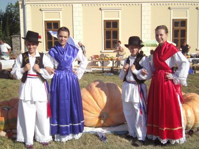 Šiđani na festivalu u Tovarniku: Mnoštvo plodova blagodatnog kraja